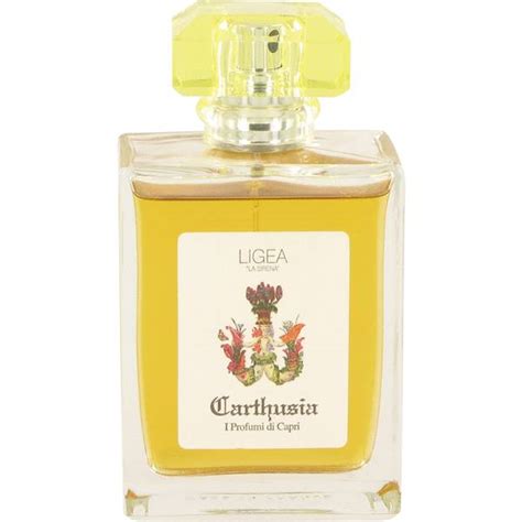 where to buy carthusia perfume.